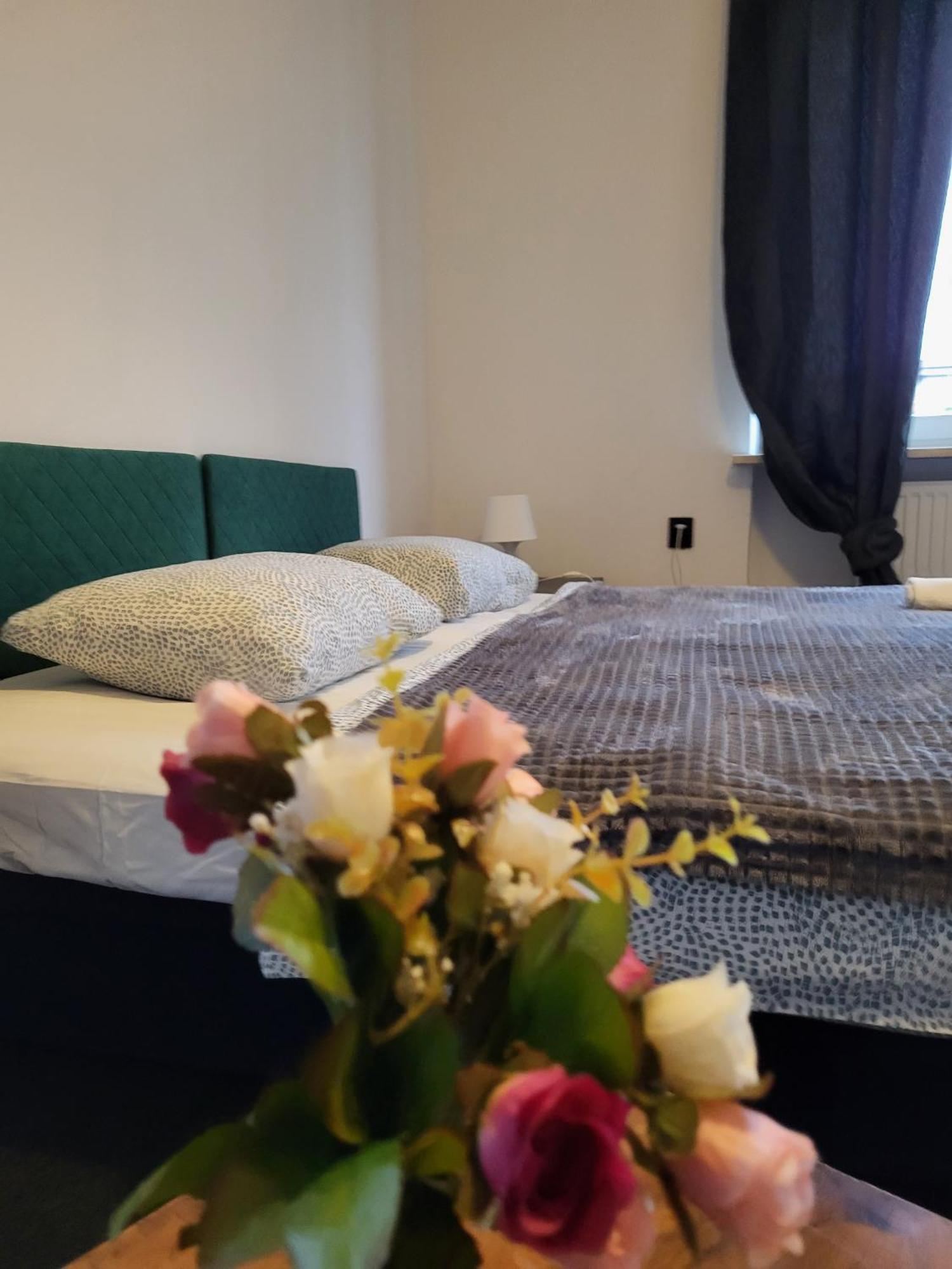 Accommodatie bij particulieren Charmed Homestay - Zaczarowany